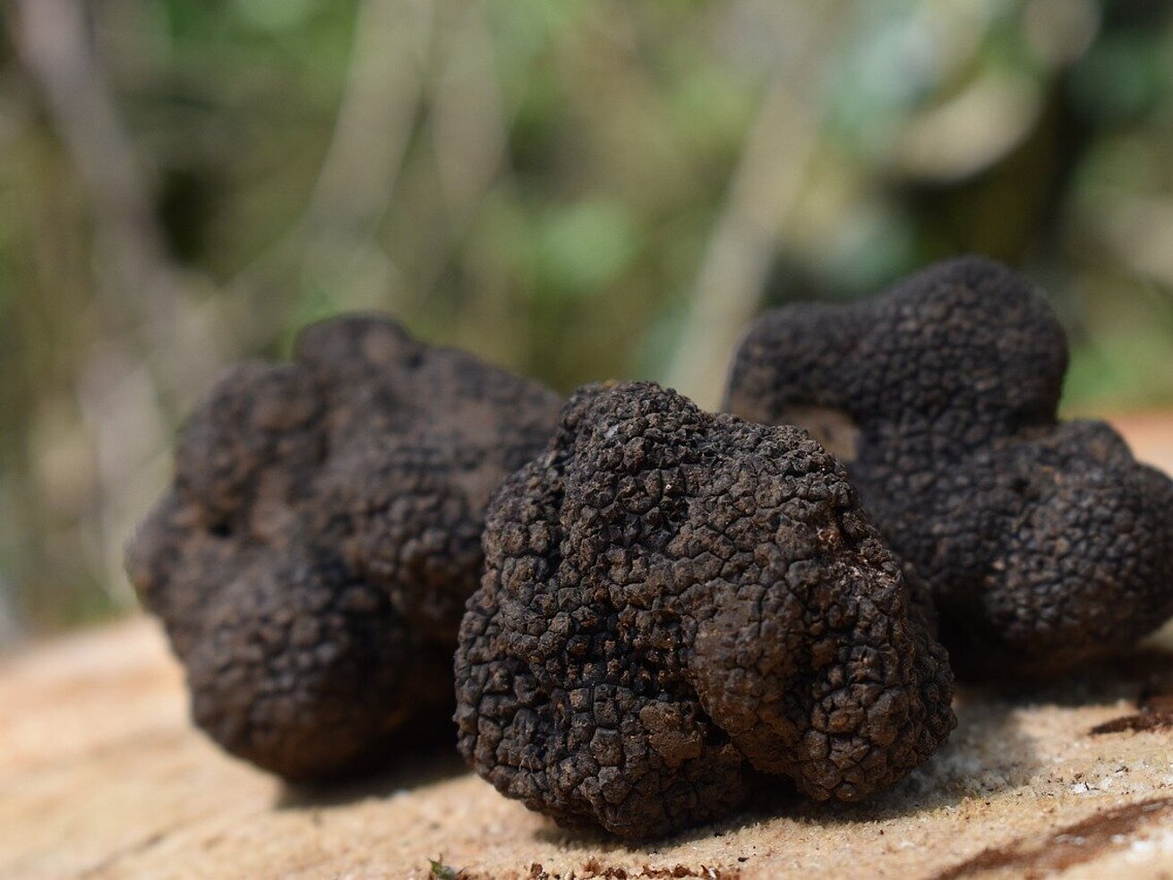 Trüffel